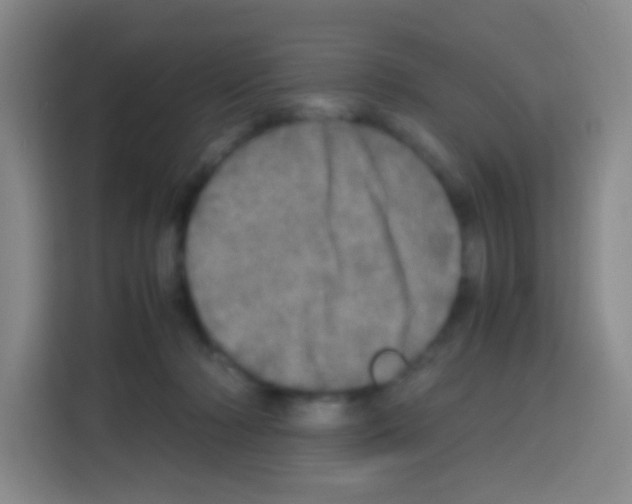 X0000112970318200910081051