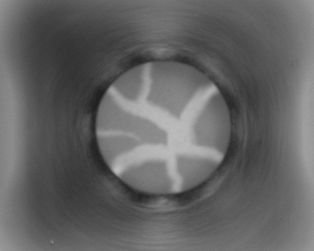 X0000112970319200910081051