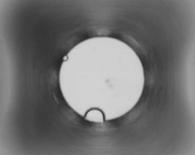 X0000112970321200910081051