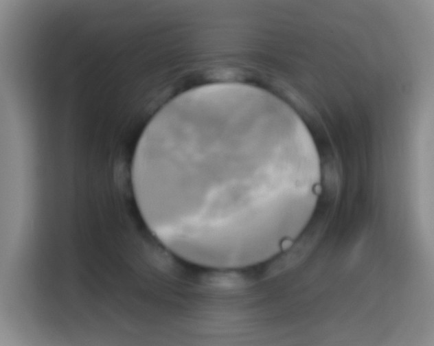 X0000112970322200910081051