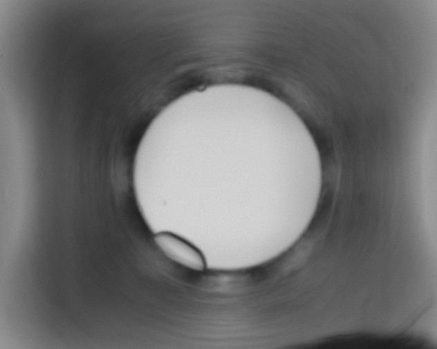 X0000112970323200910081051
