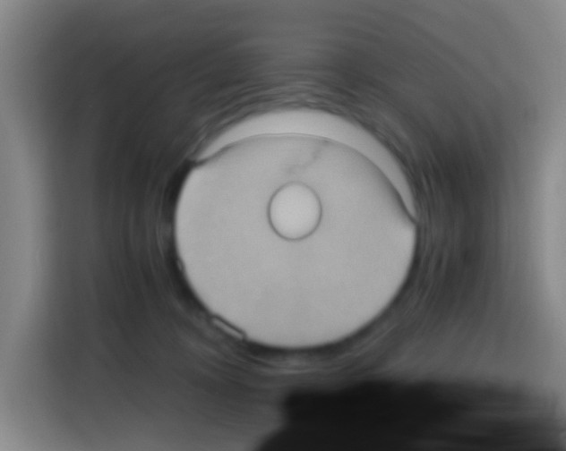 X0000112970324200910081051