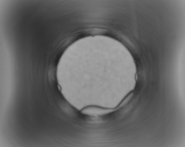 X0000112970325200910081051