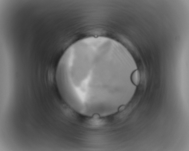 X0000112970326200910081051