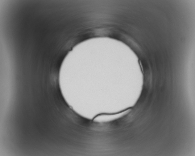X0000112970329200910081051