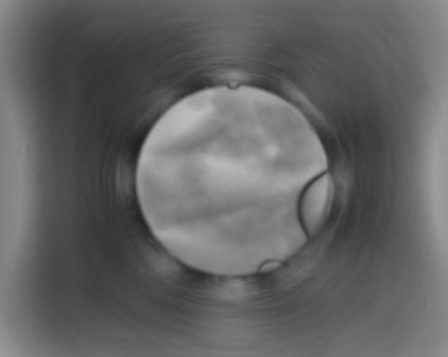 X0000112970330200910081050