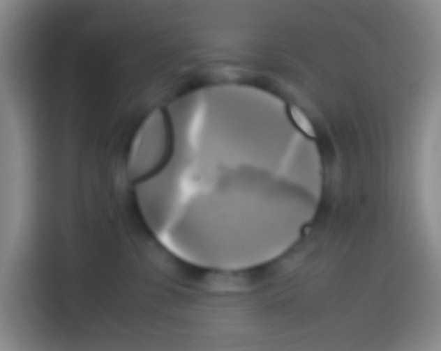 X0000112970331200910081050