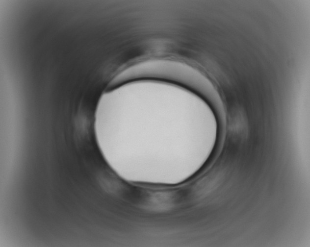X0000112970332200910081050