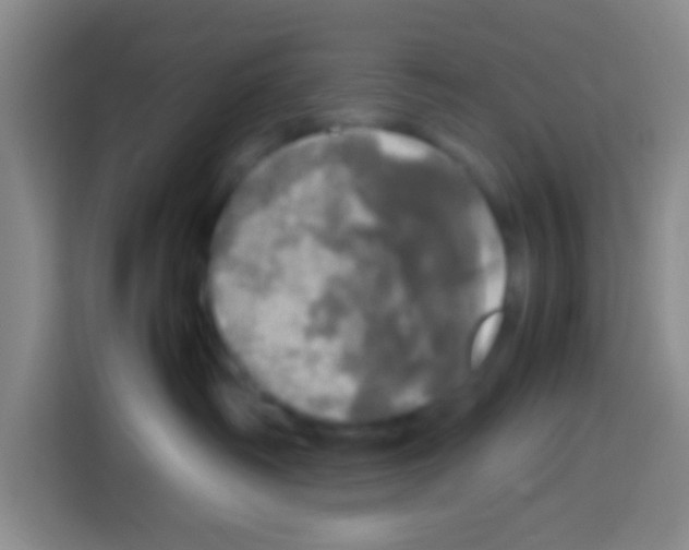 X0000112970334200910081050