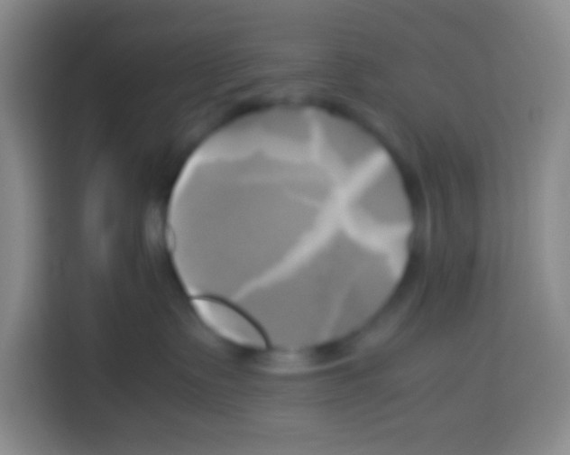 X0000112970335200910081050
