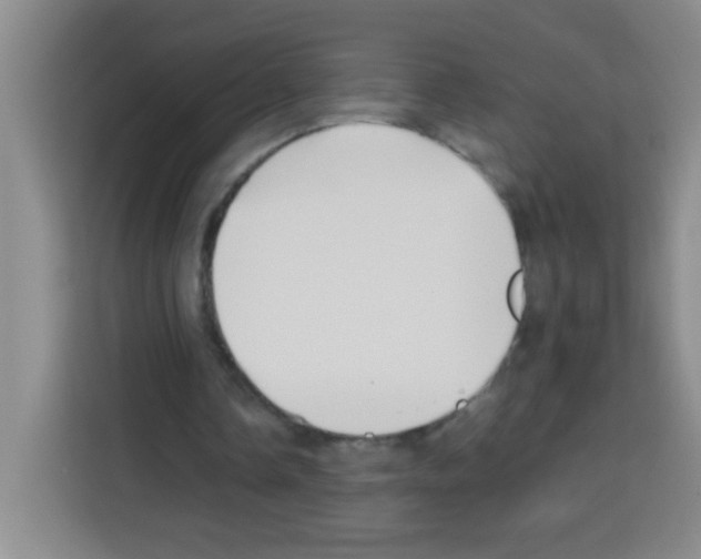 X0000112970338200910081050