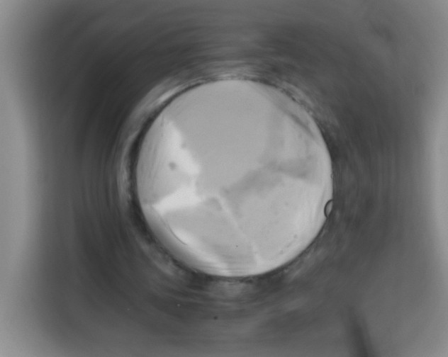 X0000112970339200910081050