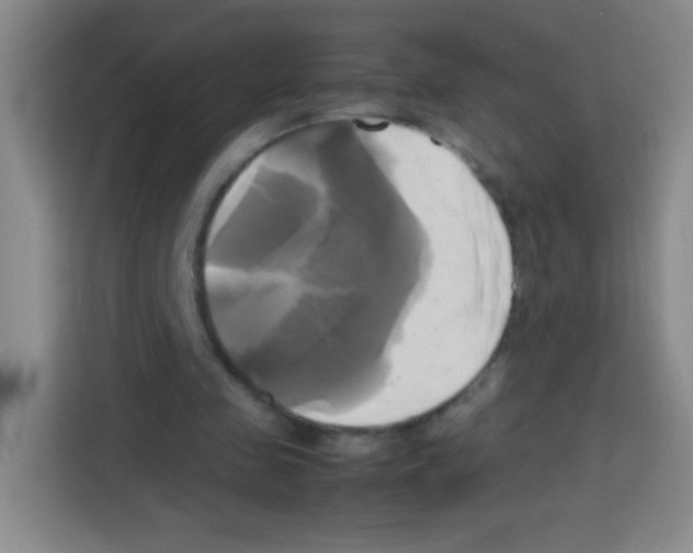 X0000112970341200910081050