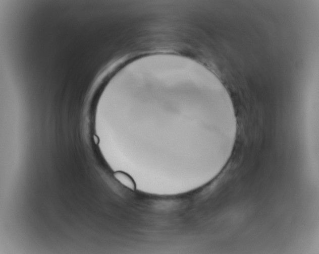 X0000112970342200910081050