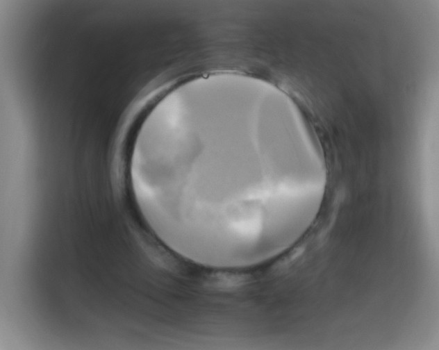 X0000112970343200910081050