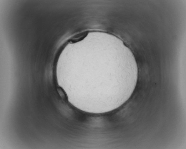 X0000112970344200910081050