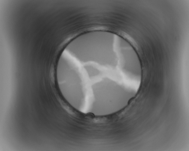 X0000112970345200910081050