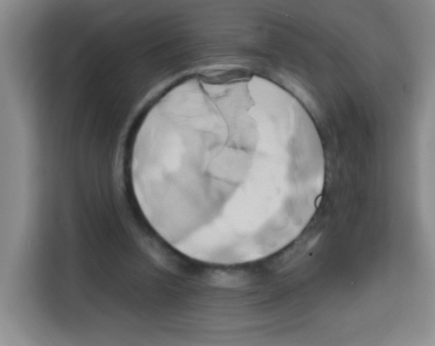 X0000112970346200910081050