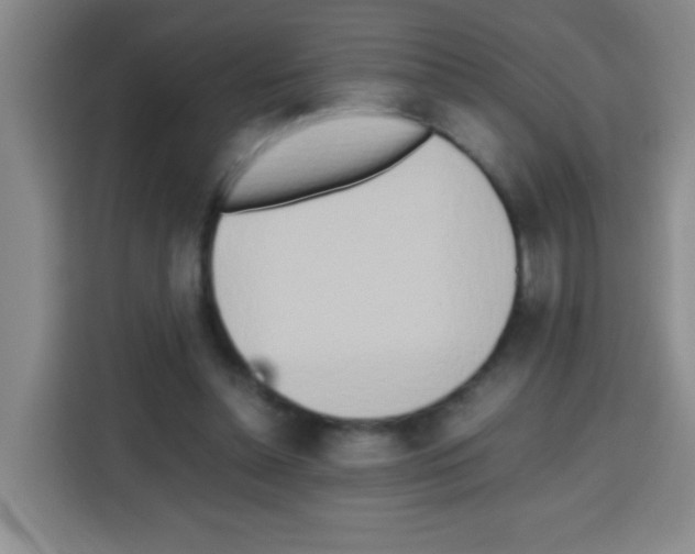 X0000112970348200910081050