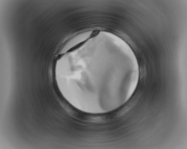 X0000112970349200910081050