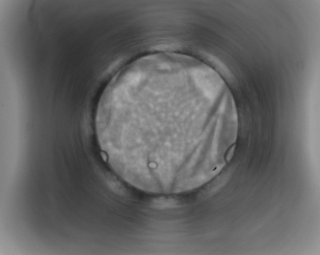 X0000112970354200910081050
