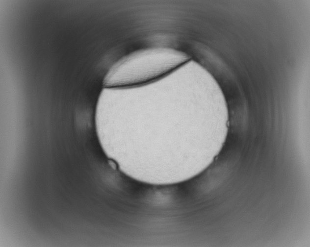 X0000112970368200910081050