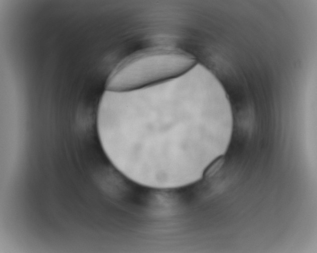 X0000112970372200910081050
