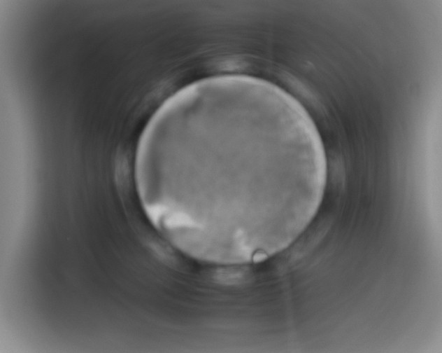 X0000112970373200910081050