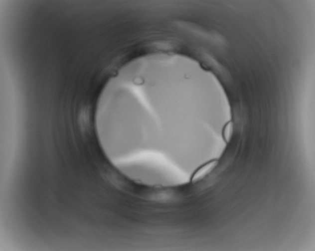 X0000112970377200910081050
