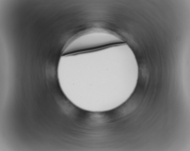 X0000112970380200910081050
