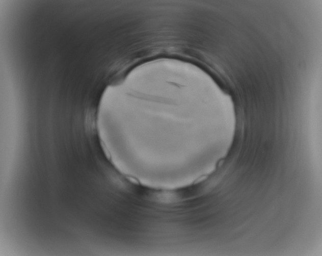 X0000112970383200910081050