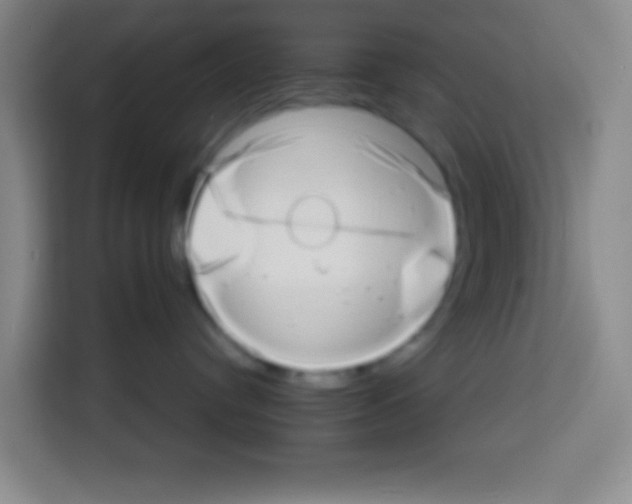 X0000112970384200910081050