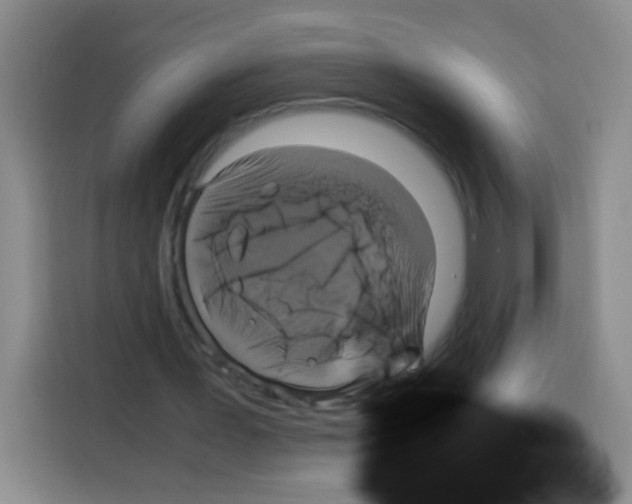 X0000112970387200910081050