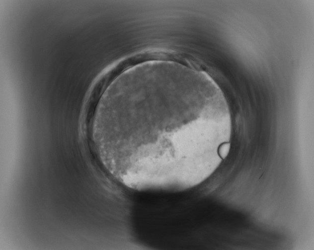 X0000112970388200910081050