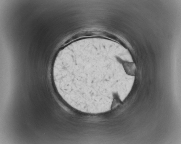 X0000112970389200910081050
