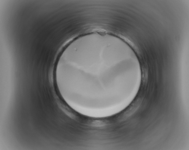 X0000112970390200910081050