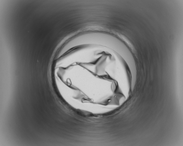 X0000112970391200910081050