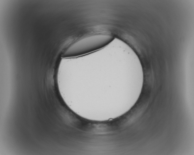 X0000112970395200910081050