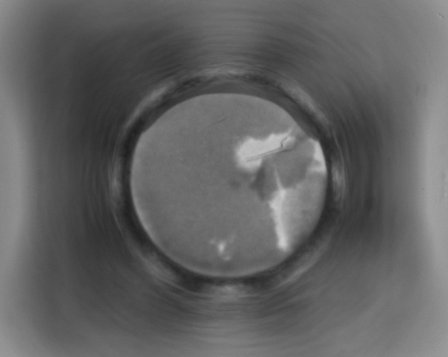X0000112970396200910081050