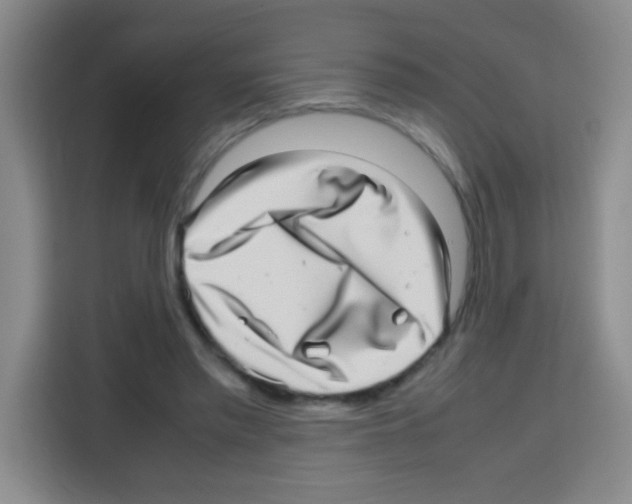 X0000112970397200910081050