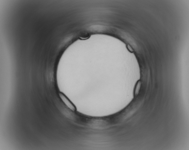 X0000112970399200910081050