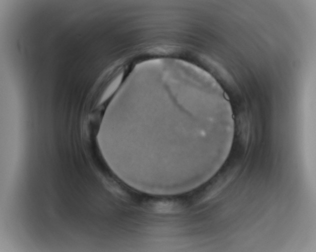 X0000112970400200910081050
