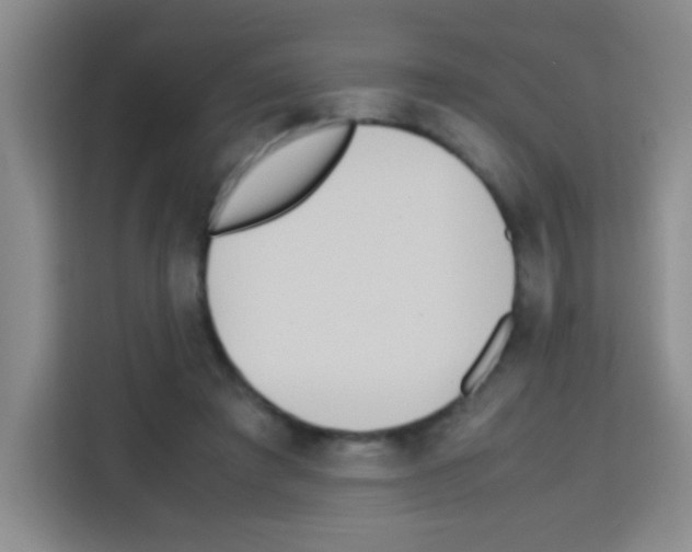 X0000112970401200910081050