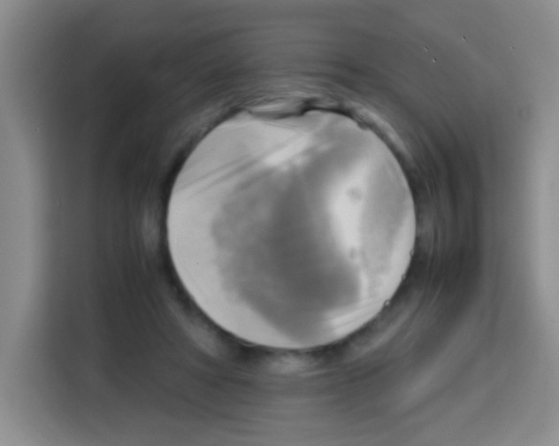 X0000112970402200910081050
