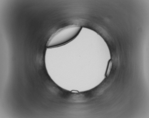 X0000112970403200910081050