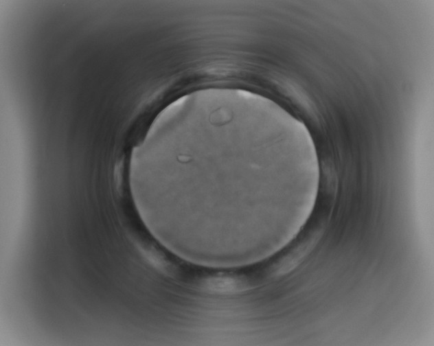 X0000112970404200910081050