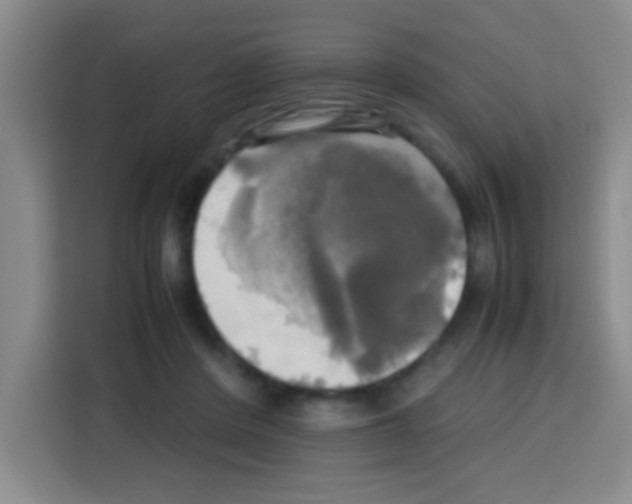 X0000112970408200910081049