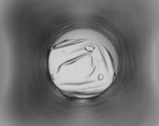 X0000112970409200910081049