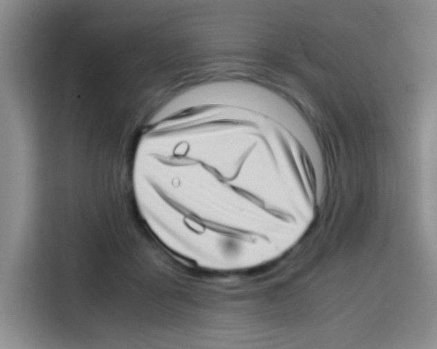 X0000112970411200910081049