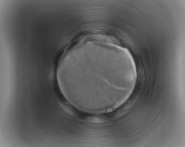 X0000112970412200910081049